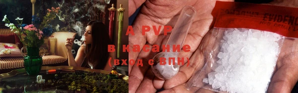 не бодяженный Белокуриха