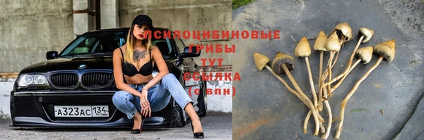 спиды Белоозёрский